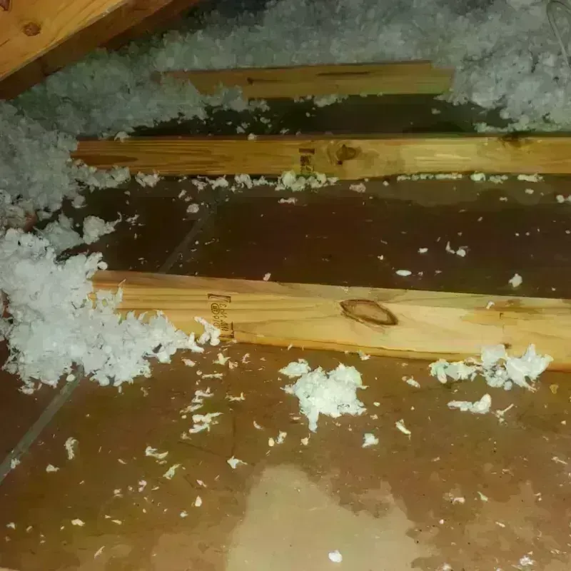 Attic Water Damage in Carrollton, MS