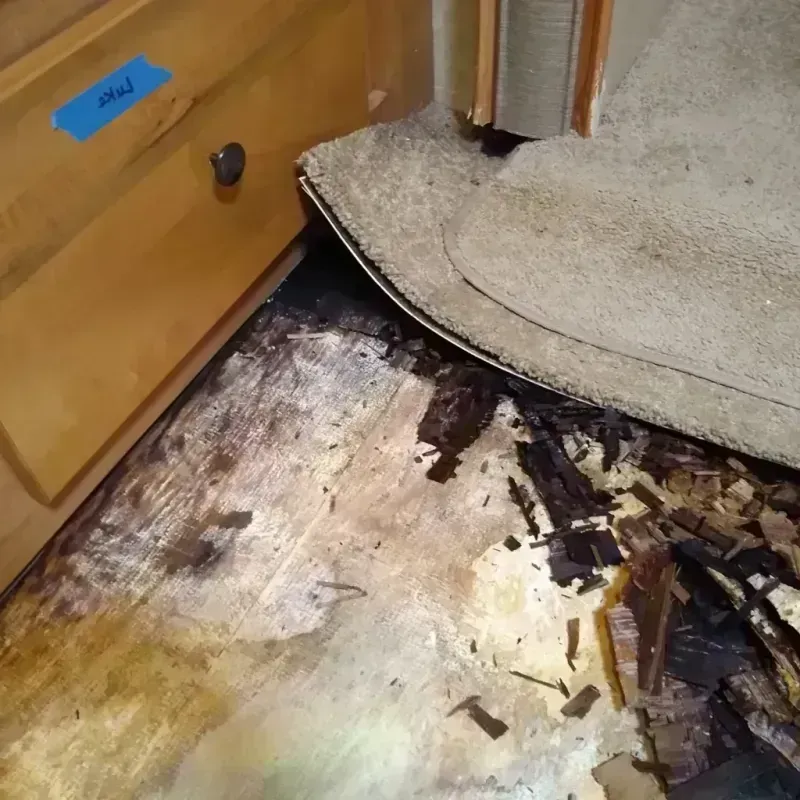 Wood Floor Water Damage in Carrollton, MS